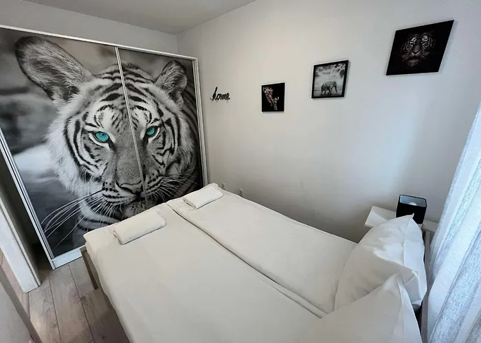 Apartamenty Residence Aparthotel מלון דירות